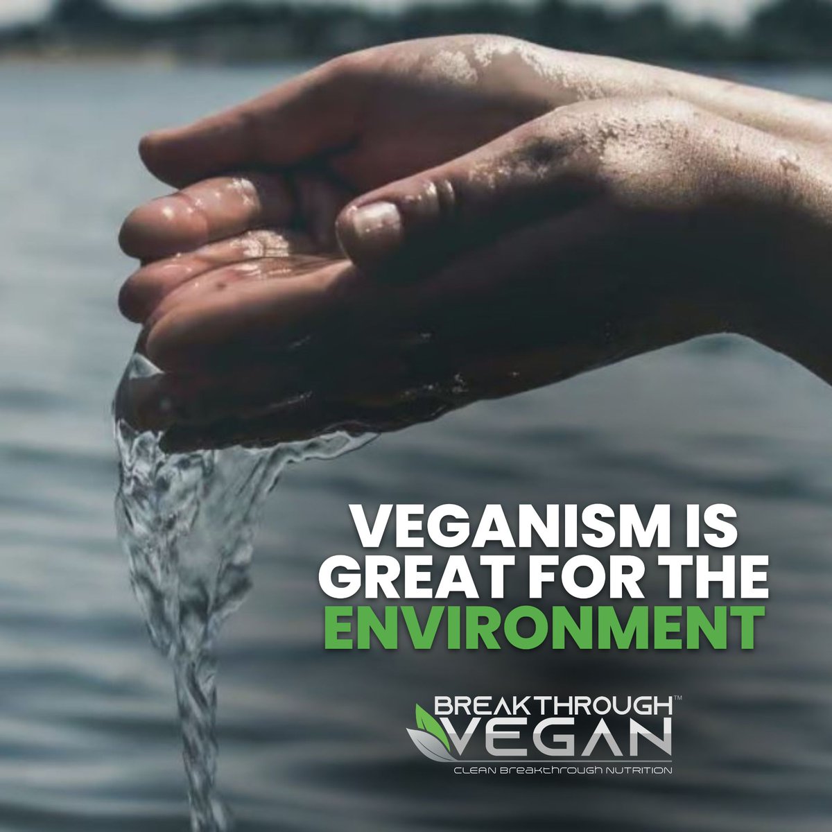 Factory farming is significantly responsible for deforestation, greenhouse gas emissions, pollution, and water shortages.
-Livestock and their byproducts are accountable.
.
#vegan #veganism #veganfood #veganrecipes #veganlife #vegansofig