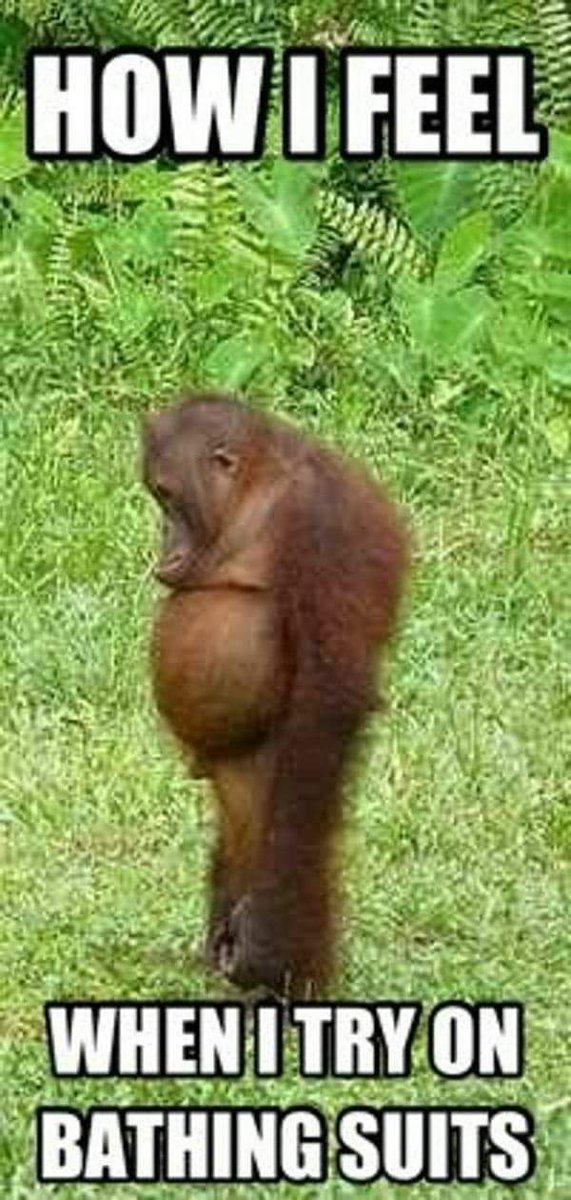 sunny_joni's tweet photo. How I feel when I try on swimsuits.
#thiscantberight #beachbody https://t.co/87tXmwRQ3K