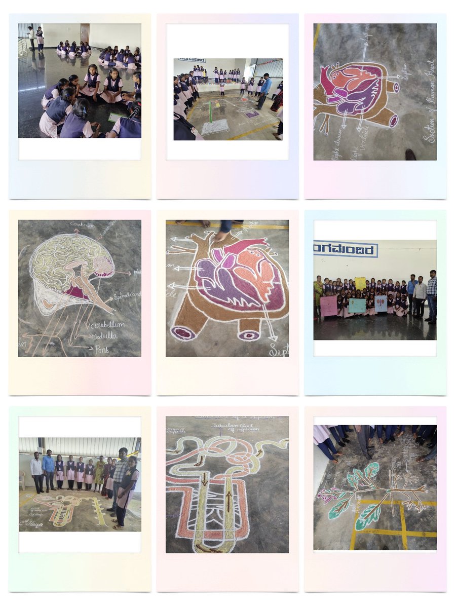 Science day is celebrated in our school