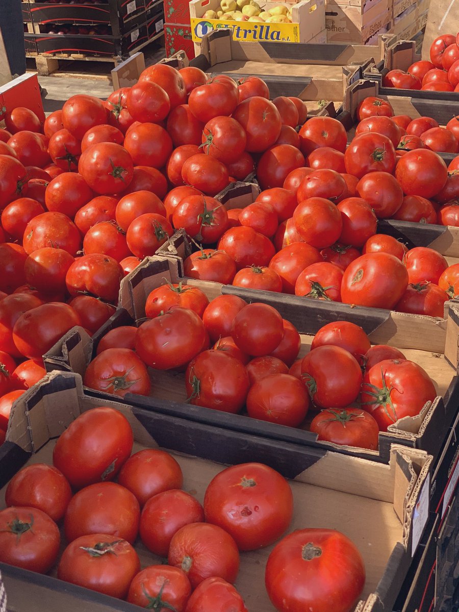 ･ﾟﾟ･*:༅｡*ﾟ:*:✼♡✼:*ﾟ:༅｡.｡･ﾟﾟ･ tweet media