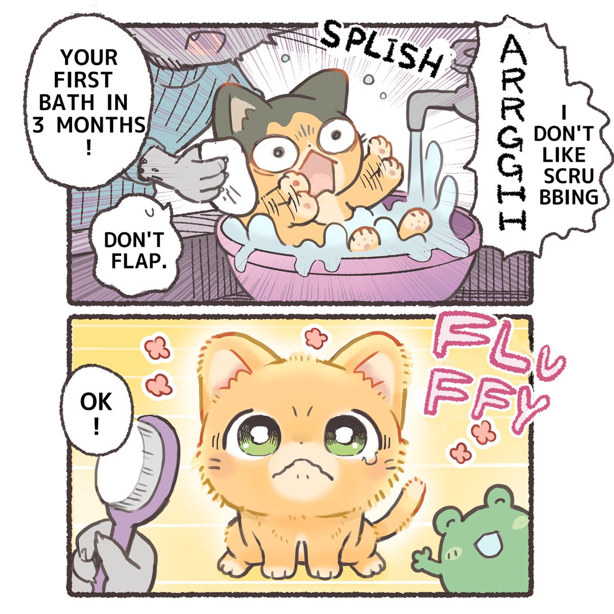 Unyan took a bath for the first time in 3 months🫧🫧
#DeliveryKittenUnyan 
