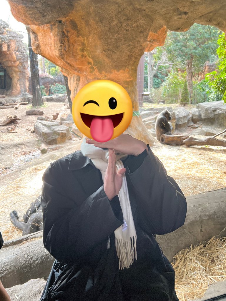 【すべりこみ動物園 to mint🐻‍❄️🐯🦒】

だいぶ日にちが経っちゃいましたが、3期生の皆さんで上野動物園に行ってきました🙌🏻

初上野動物園でしたが、1日で回りきれない広さに驚きました👀

3期生の皆さん+動物達と会えて良かったです☺️

#TMAs #TheMafiaAnimals #動物園tomint