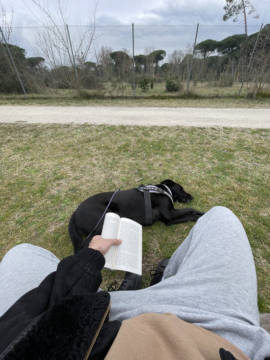 Che bello