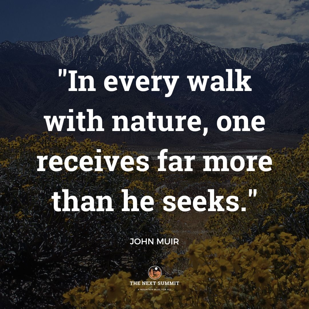 Take a break from the stress of daily life and go for a walk in nature. You might be surprised at how much it can rejuvenate you. #johnmuir #naturewalk #hikingadventures #naturetherapy #outdoorlife #wildernessculture