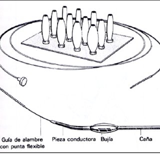 jmoncada3103's tweet photo. buenos días doctor Jaime  investigue sobre las bujías de polivinilo de Savary Gillard tienen un diametro de 5 a 15mm y son los menos radiopacos, sin embargo se puede llegar a utilizar sin fluoroscopia.  #CPANDINA20231 https://t.co/za45eG9E2a