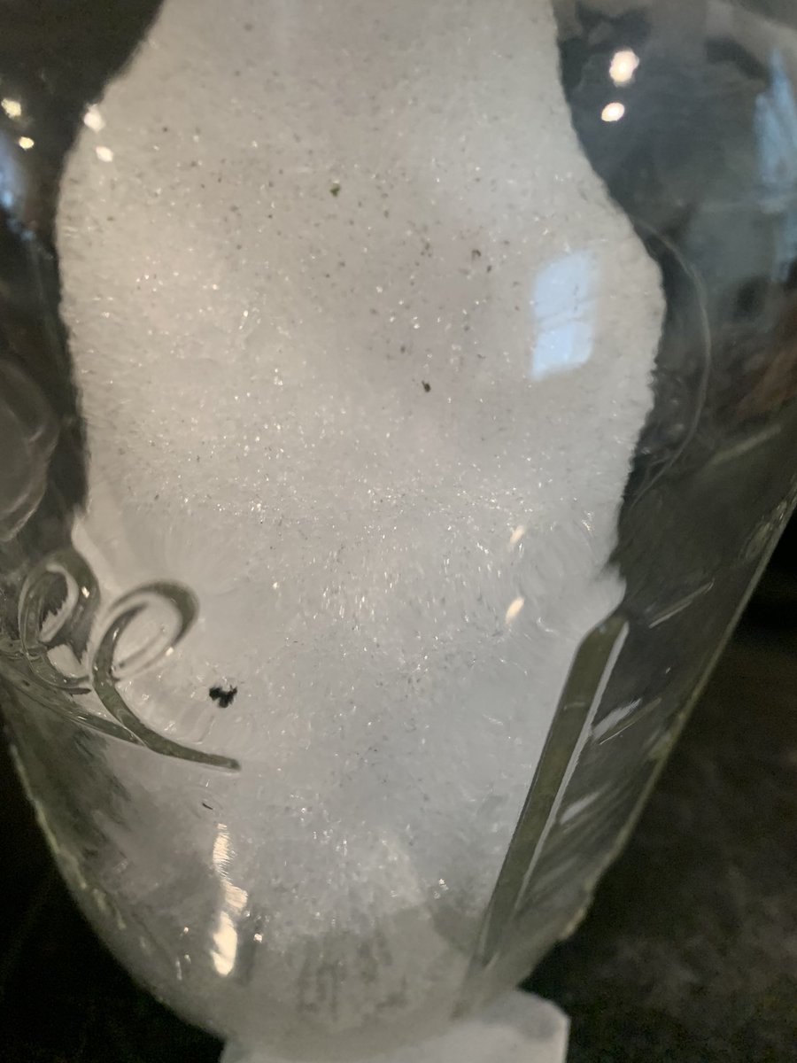 SmartandSassy11's tweet photo. Ashley was down at the creek in East Palestine.
This stuff looks familiar. I also get this stuff under my nails when I go outside. #ProjectSnowCone #ProjectSC #LakeHuron https://t.co/Epzgbr9SEE