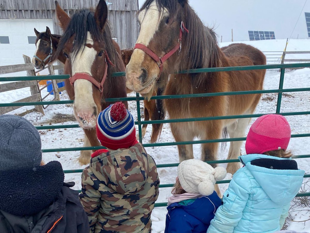 ElmhirstsResort's tweet image. Enjoying all there is to offer &amp;amp; more 🙃 Guest @zoevanempel shares: “Winter wonderland @elmhirstsresort with the crew.” 
#ElmhirstPlay #Winteradventures #goresorting #ontariotravel #kidstravel #familyfun
