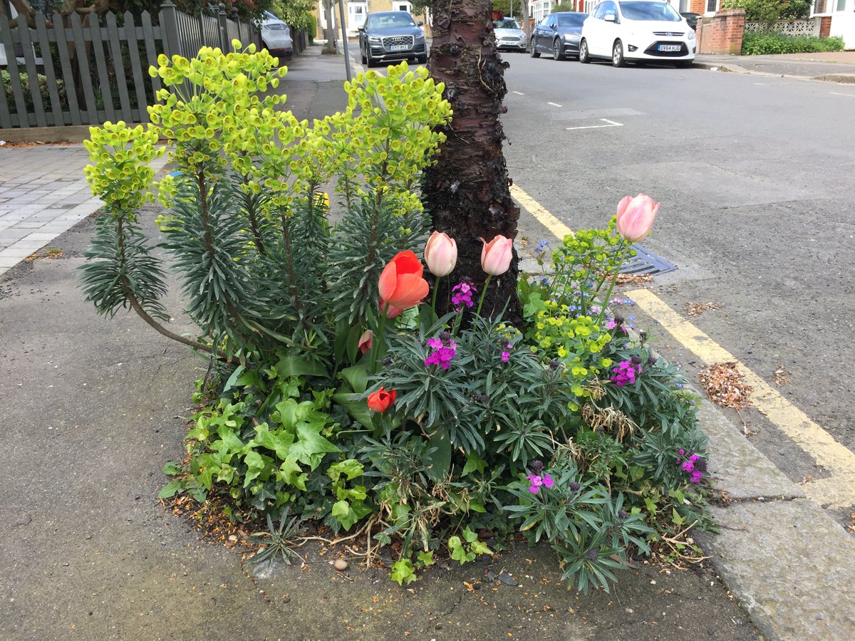 SWGardeners's tweet photo. We’ll be at Ilford Town Hall this evening for the @RedbridgeLive Climate Forum, 6.30-8.30pm. If you’re going along please come and say hullo. https://t.co/iKEUnITUMD