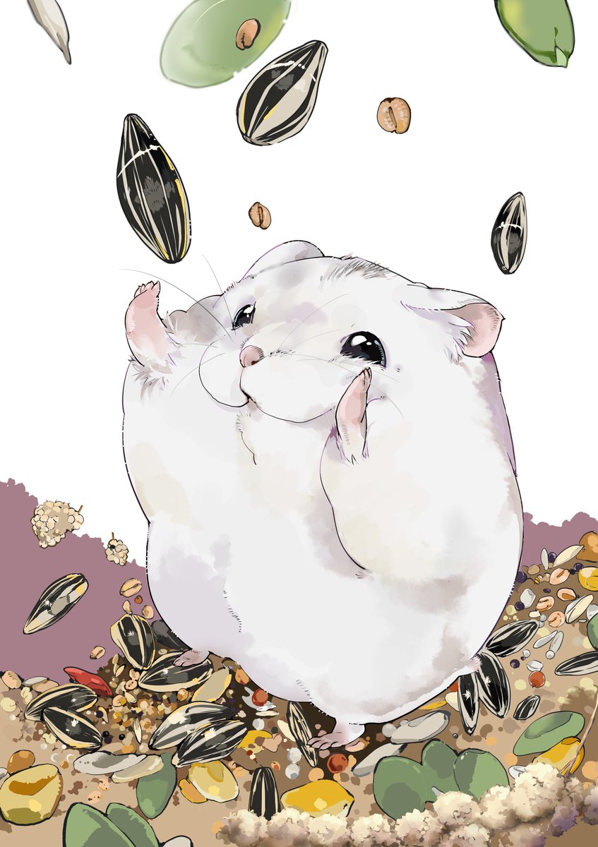 no humans animal focus hamster animal white background mouse black eyes  illustration images