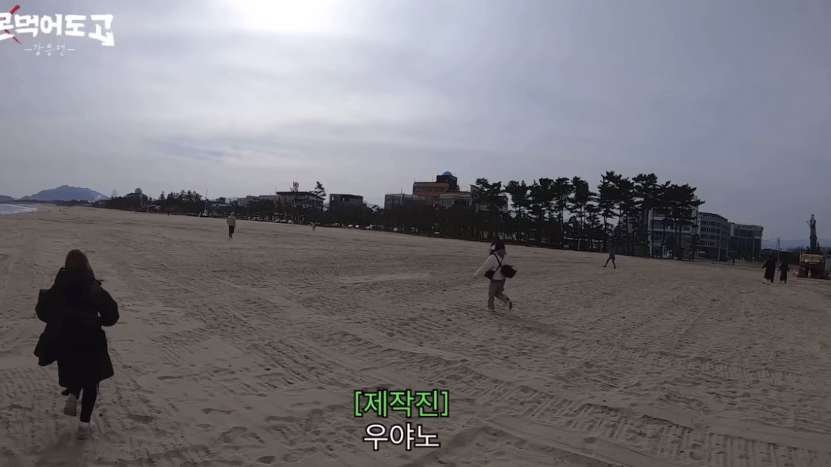 lovelyorkie_hw's tweet photo. 우야노 ㅆㅂ https://t.co/uqAPlOhts0