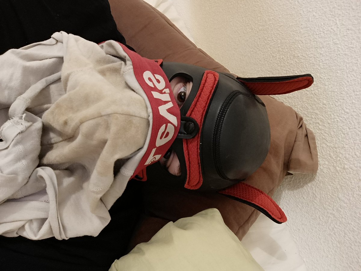 #gaypuppy #gaybdsm #gaypuppyplay #humanpup #bdsmpuppy #stinkyunderwear