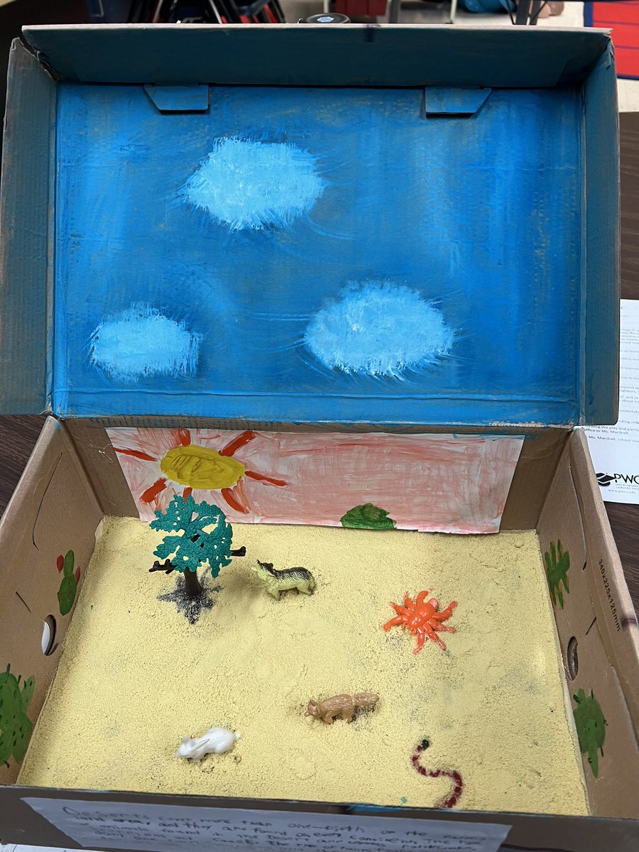 MsSlaughterBAES's tweet photo. More of the amazing creativity the students have with creating habitat dioramas!! #BAESShines https://t.co/zMvrVtc517