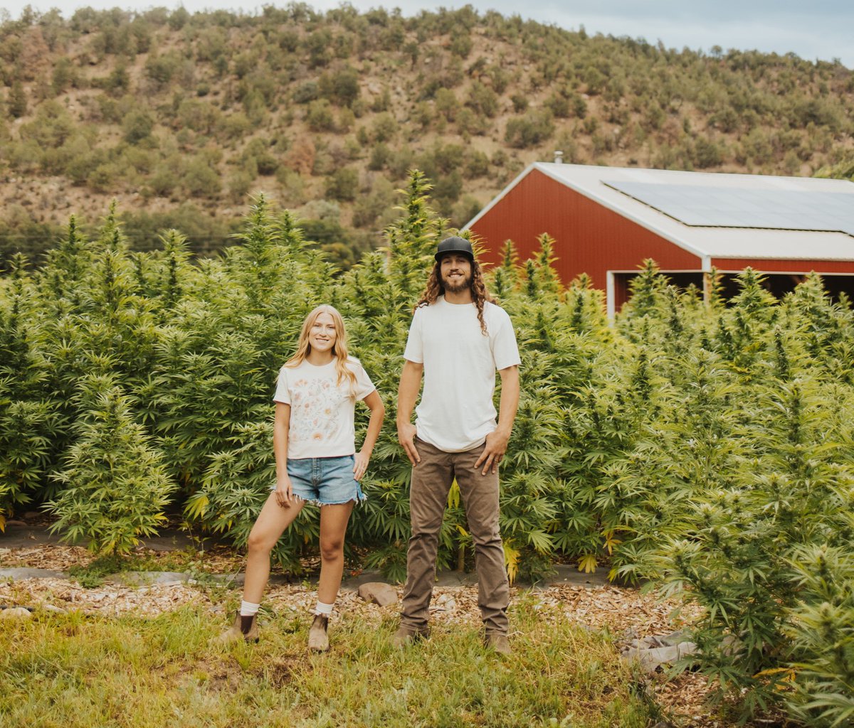 kindhempco's tweet photo. Hemp farmer approved hemp socks 🌱✅ https://t.co/YctTI5d8tk