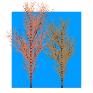 CardanoTreesBot tweet media