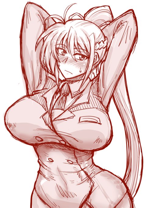 久しぶりにシグナム!!
将大好きなんですよね(/ω\)