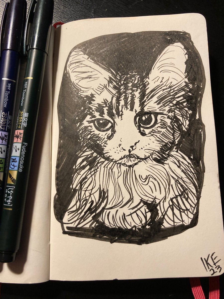 DropTableTweets's tweet photo. Working on my kitty doodling.

#art #drawing #illustration #cat https://t.co/DuEXfuHa8R