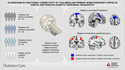 neuroscienceaau's tweet photo. New MEDON study.  Resting-state connectivity changes of thalamus and the postcentral gyrus were related to the neuropathy phenotypes in individuals with type-1 diabetes. 

@SCroosu @johanroeikjer  @DahlRch , @NielsEjskjaer , Jens Fr��kjær and Tine Hansen.

https://t.co/LPM8FGZ5Lh https://t.co/MUpgndMvQO