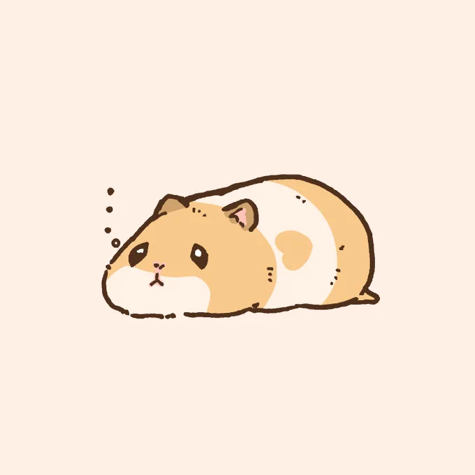 …zzZ 