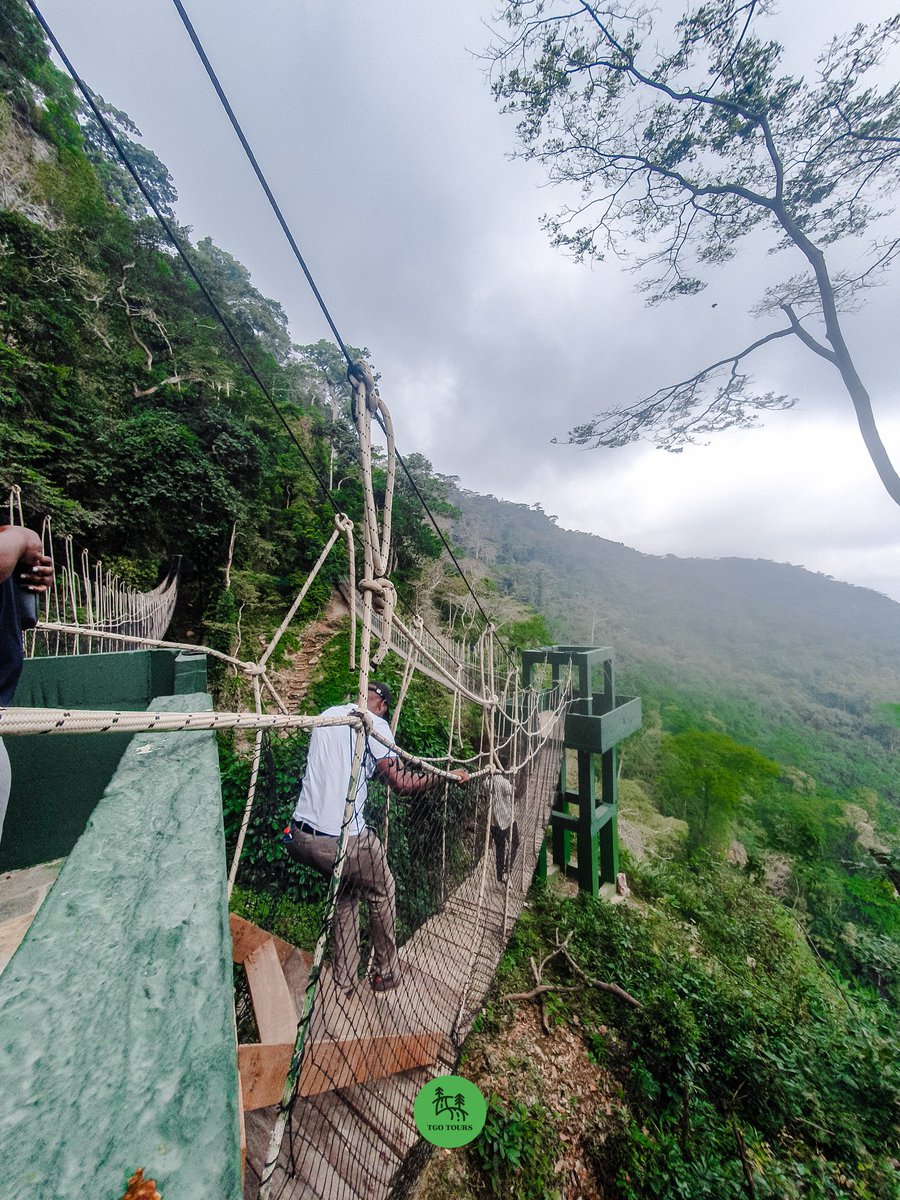 TheGetOutGH's tweet photo. We visited Amedzofe in the Volta Region few weeks ago and it was exactly as expected, the waterfalls, the canopy walkway, mountains, the scenic routes and breathtaking views☺️. Have a feel of what you missed and do well to join us on our upcoming trips.
#amedzofe https://t.co/TaL8v5gcEd