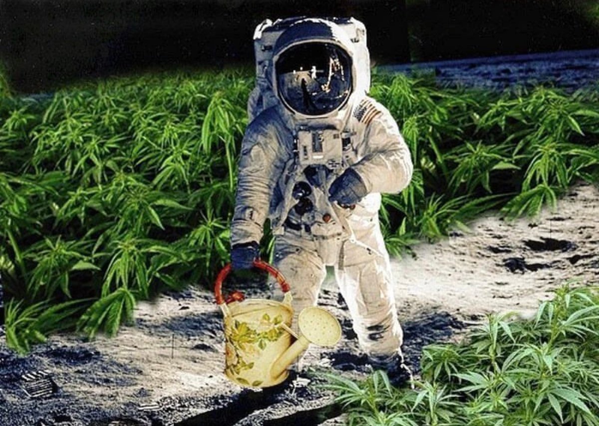 Question for hemp growers: in which part of 🌎 are you planting this year?
.
.
📸 @hempstav