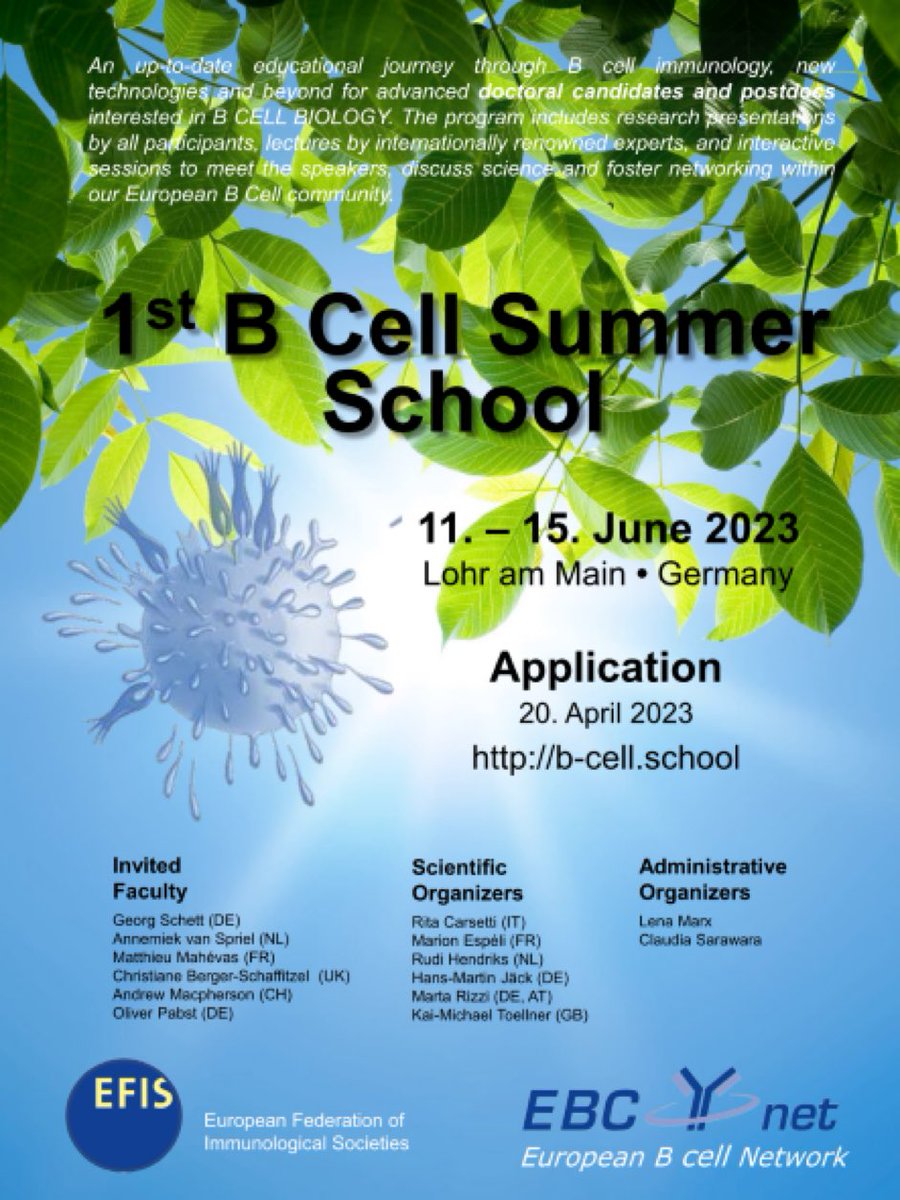 Application and Program under b-Cell.school