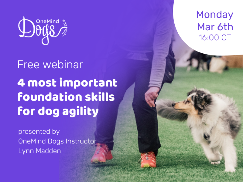 OneMindDogs's tweet photo. NEW webinar: The 4 most important foundation skills for dog agility πβοΈ
Register now to join LIVE March 6th, 16:00 Central time to take part in the discussion and ask questions, or to get the recording in your inbox! π©
Register π https://t.co/d1Z0s1XvXh
#oneminddogs https://t.co/FsgZ6vAKuJ