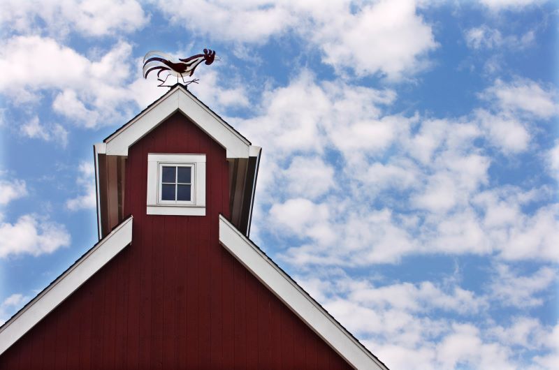 stamfordplus's tweet photo. Westport Country Playhouse Accepting Applications for 2023 Woodward Internship Program https://t.co/SDQlaHg3wZ https://t.co/xAwVDRSswg