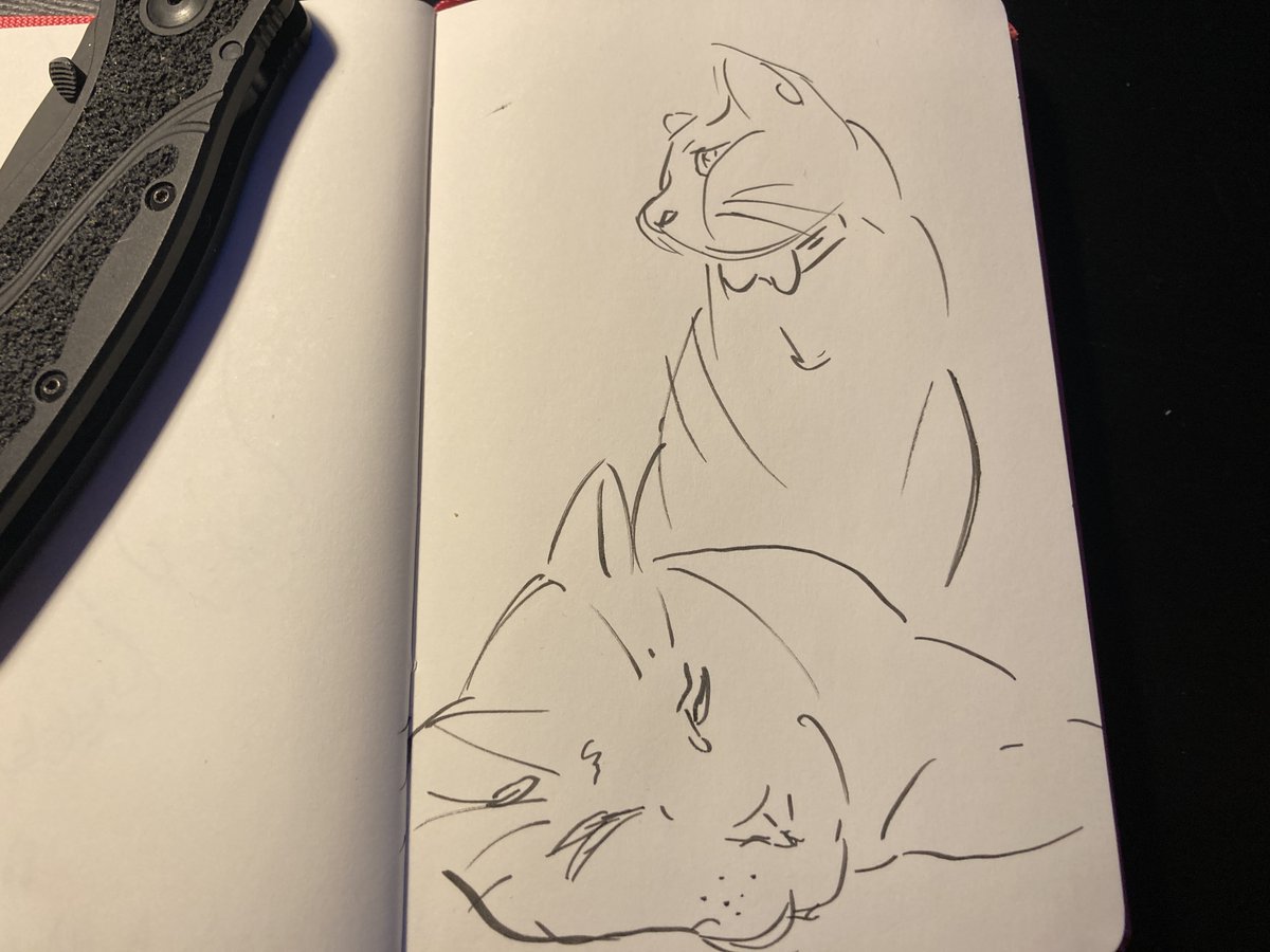 DropTableTweets's tweet photo. Trying more kitty doodles.
#art #drawings #illustration #Cat https://t.co/hAzdqa8i32