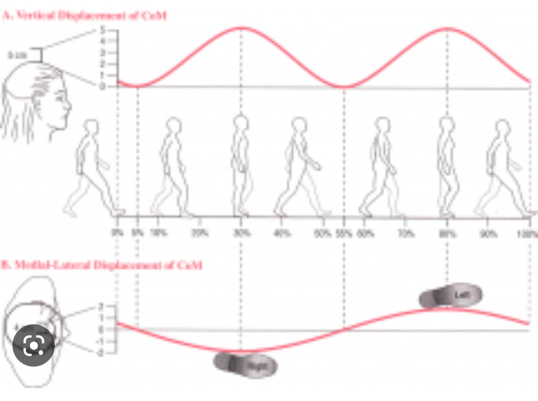 Dick34706799's tweet image. We #walk like light travels. The #GaitCycle is similar to an #ElectromagneticWave, which makes sense if you think of #humans as a #derivative of #light. Or we share similar properties as light. Be #LightInLife. You might like this thought @hubermanlab #BioPhysics