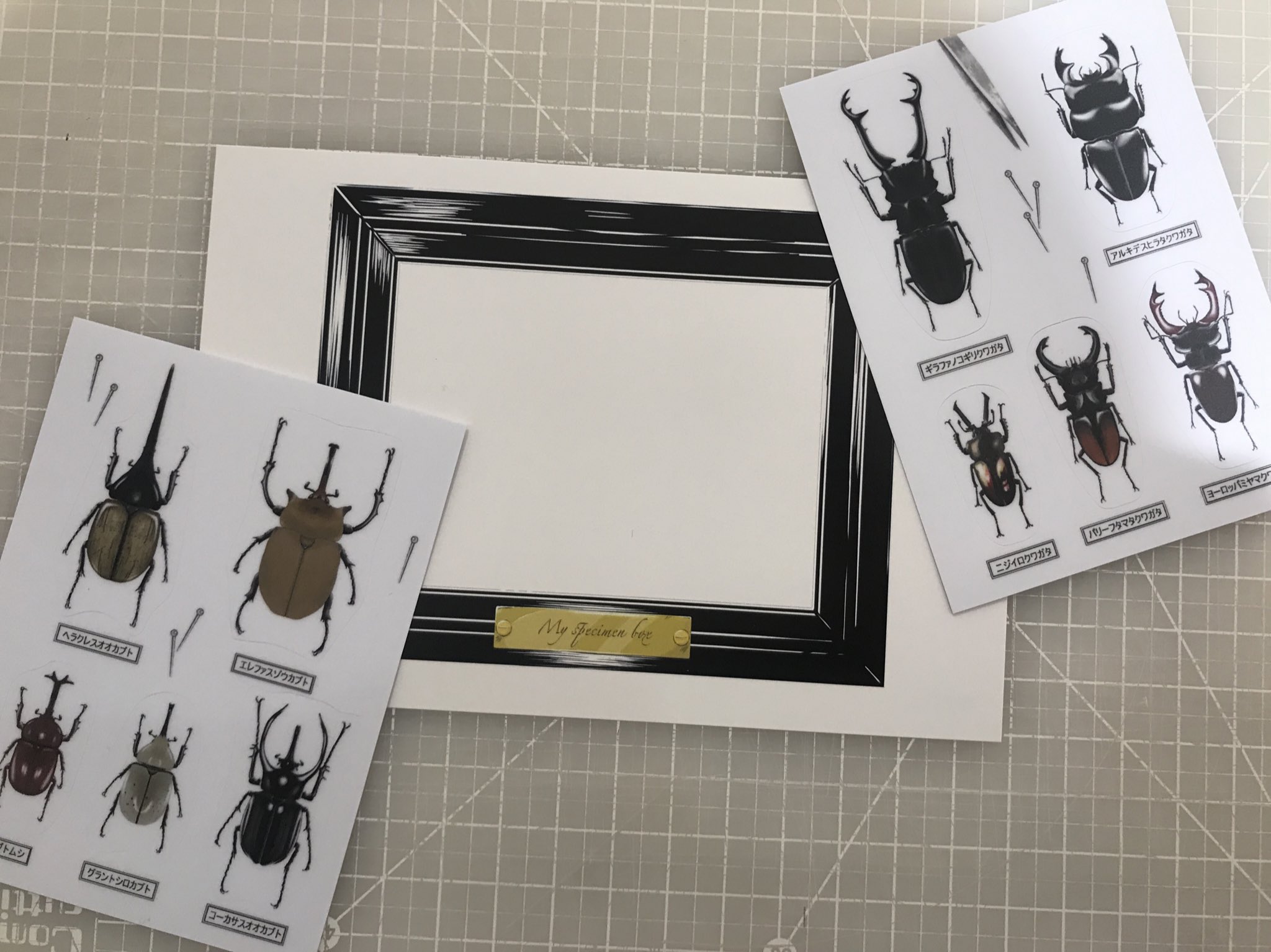 100％本物 アルキデスヒラタクワガタ ペンダントトップ シルバー