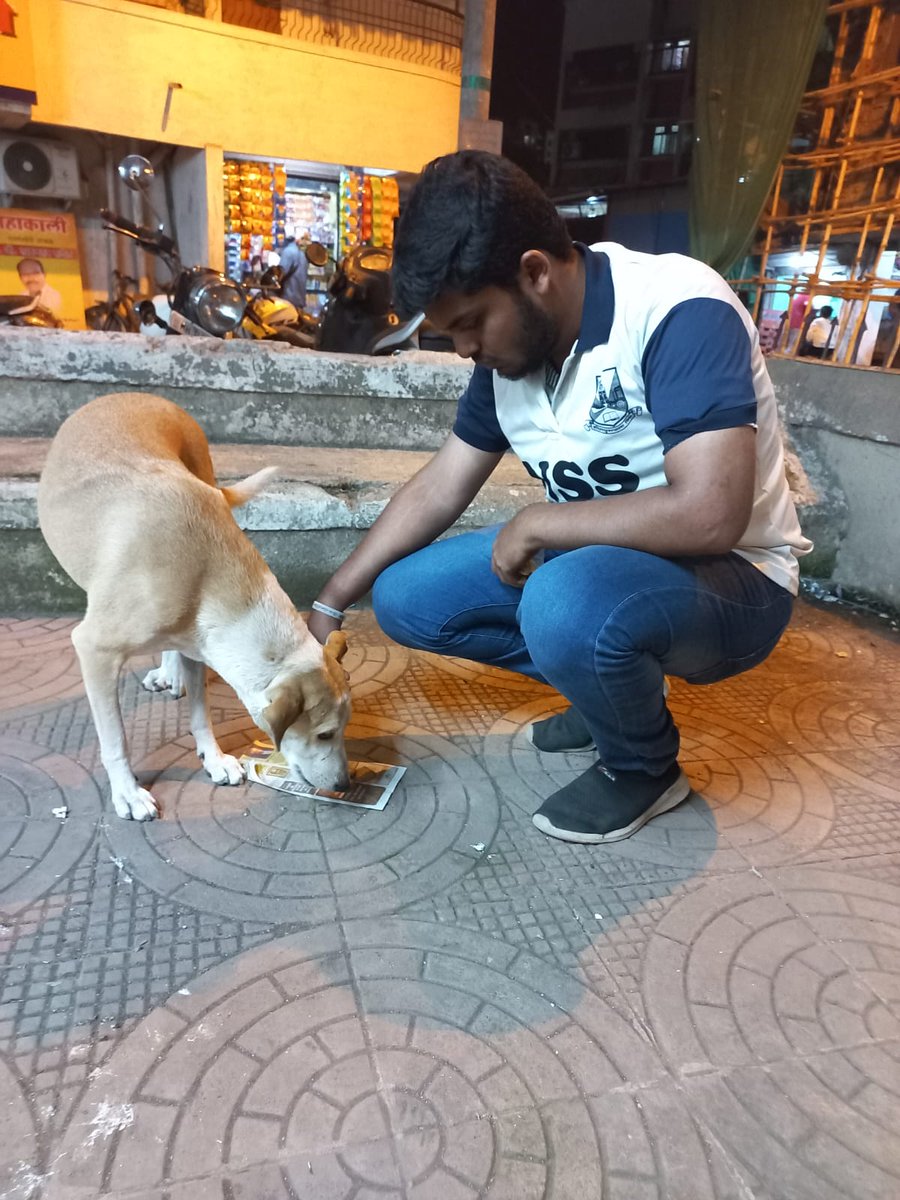 nssstandrews's tweet photo. Our NSS unit conducted the 'Stray Animal Feeding Activity 🐶🐈 phase 2' from February 6th to February 19th in collaboration with @rotigharanimals of @Khushiyaan_Org 🙌🏼
Phase 1 took place from  20th November to 4th December.
@_NSSIndia @connectingngo1 @ConnectingNss https://t.co/l1aAZQmP4A