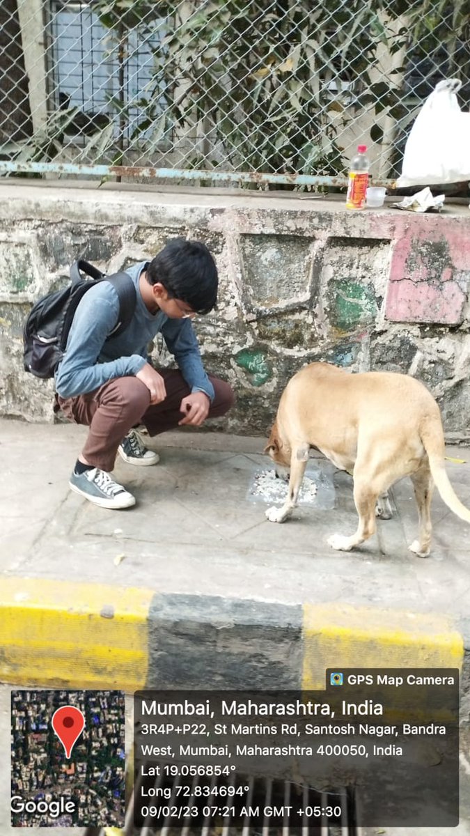 nssstandrews's tweet photo. Our NSS unit conducted the 'Stray Animal Feeding Activity 🐶🐈 phase 2' from February 6th to February 19th in collaboration with @rotigharanimals of @Khushiyaan_Org 🙌🏼
Phase 1 took place from  20th November to 4th December.
@_NSSIndia @connectingngo1 @ConnectingNss https://t.co/l1aAZQmP4A