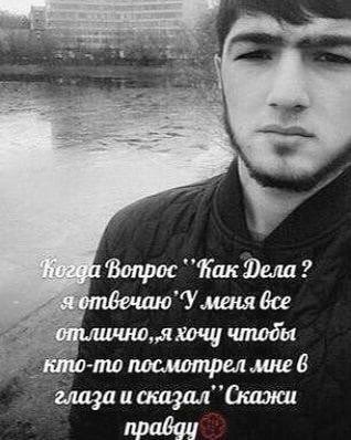 лисова хейт ю tweet media