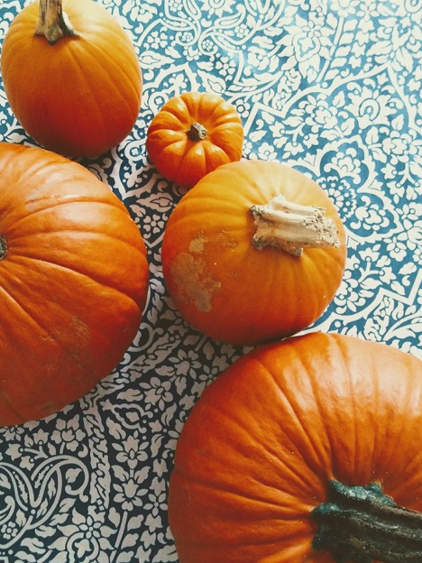 Canadian Association for Food Studies tweet media