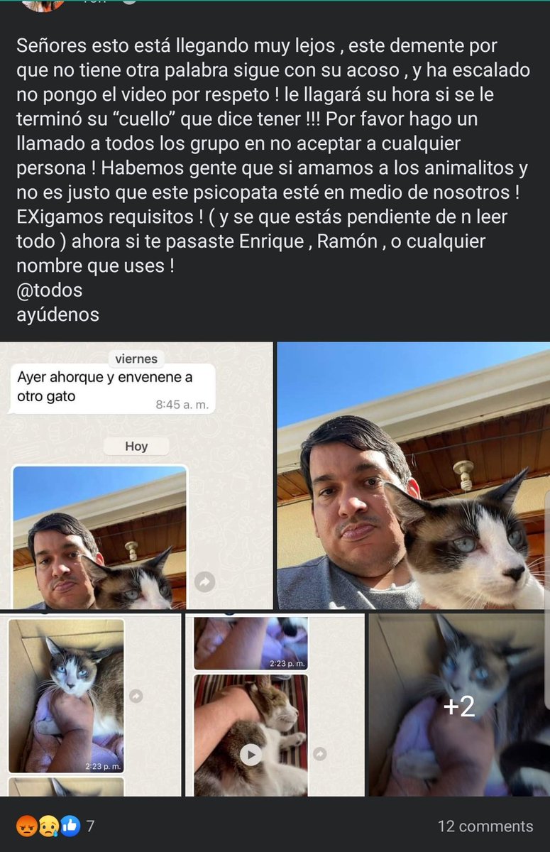 cococharamusca's tweet photo. Alguien sabe si este psicópata se puede denunciar o algo? Es demasiado. https://t.co/hoeaIivjqi