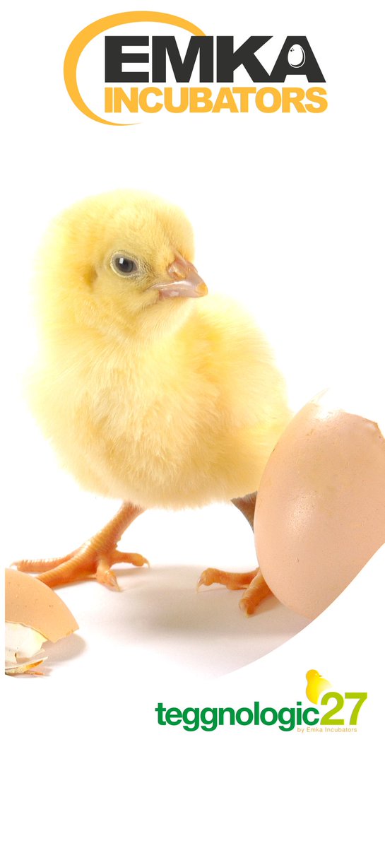ng_poultryplus's tweet photo. We are proud to announce our new partnership with EMKA Hatchery Equipment B.V., a Belgium-based global leader in incubation technology and Hatchery equipment supply, effective 17th February 2023. Find out more about our new partnership: https://t.co/40s2zUvL93
#freshlink https://t.co/YSm8HAL0l1