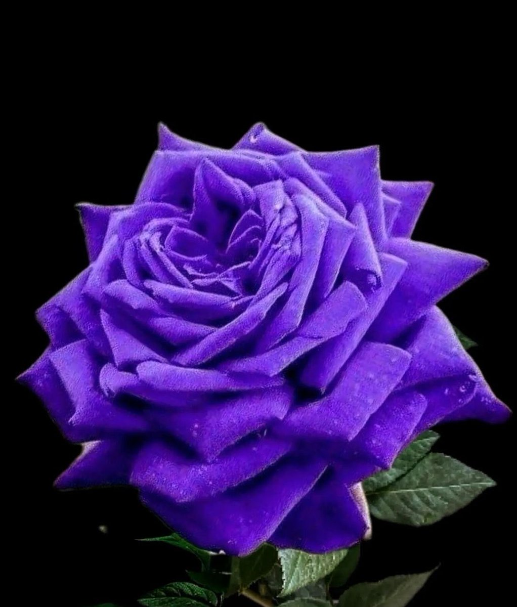 مش مشكله انا اكونلك ايه
يكفي أكون بسمة للقلب
أو إنسان يكتب في الحب
ينثر عطر الحرف في صدرك
يحصد من أنفاسك ورد
العلاقات مش محتاجه
 يكونلها اسم
ممكن عشق 
ممكن عادي يكون الكره
ممكن تجمع كل معاني الدنيا 
لكن أسمى ما فيها 
يدوم الود .....