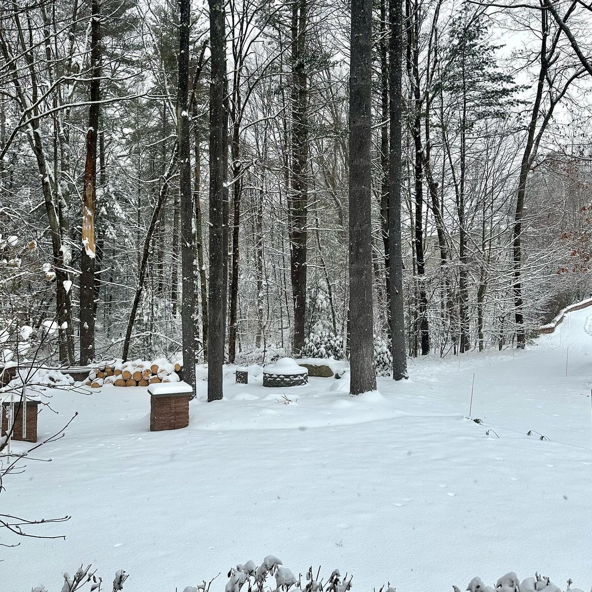 Justin Levy tweet media