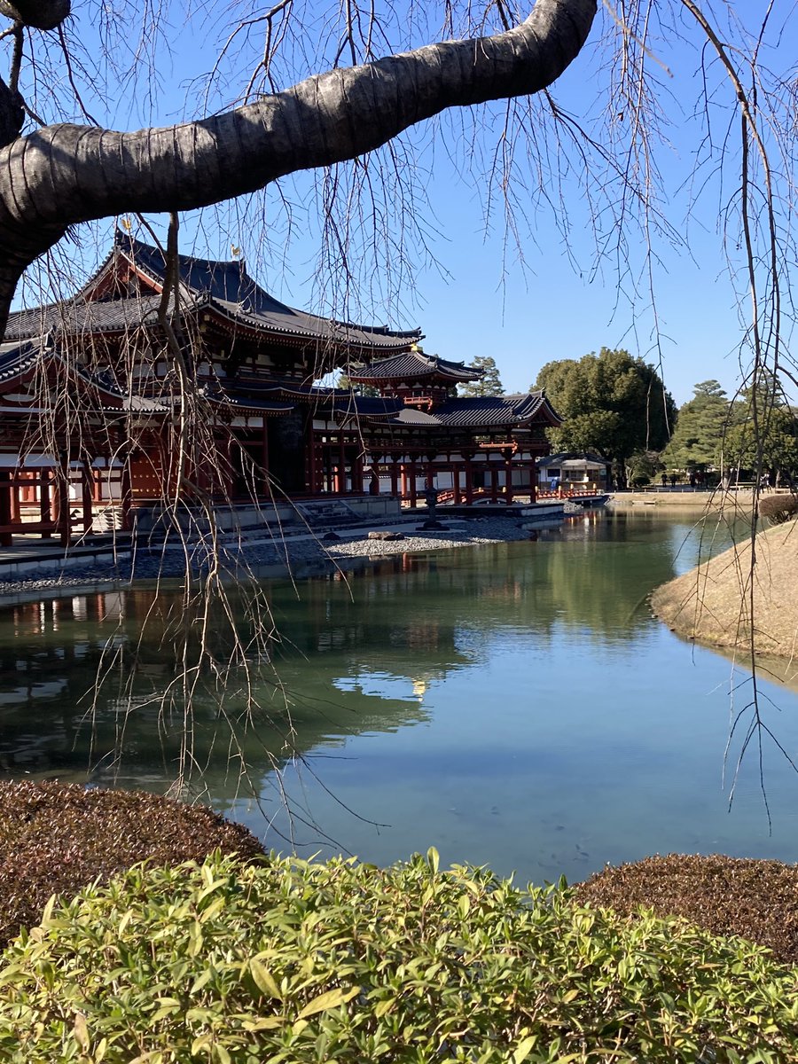 jimo_on03's tweet photo. 朝早かったし移動めっちゃ疲れたけど
午後はゆっくり観光できた！！
全国支援割使ってお得な旅🫶🏻
宇治抹茶のパフェ美味しすぎたぁ🥹💓 https://t.co/erEpHEim2p