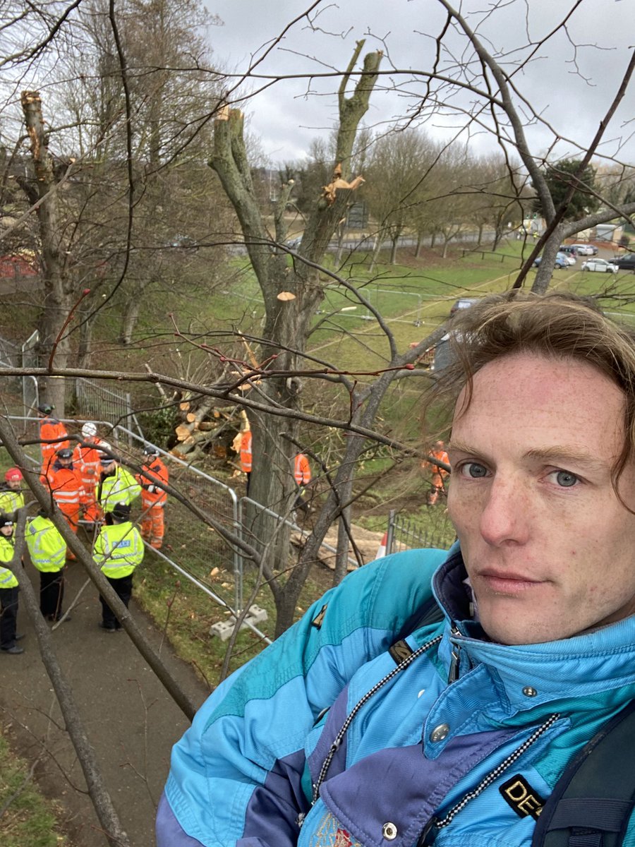 So, I find myself 30ft in the air up a tree in Wellingborough- surrounded by police, security & tree surgeons- trying to prevent an illegal tree felling. How did I end up here? Here’s an outrageous story of nature destruction & collusion between authorities & private developer 🧵
