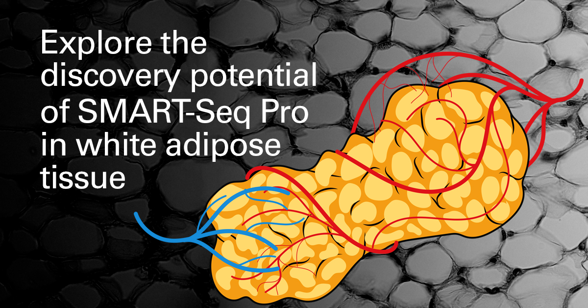 TakaraBioUSA (@takarabiousa) on Twitter photo How much do we know about fat cells? Find out: ow.ly/yreK50MwKMb
Researchers from <a href="/AdventHealth/">AdventHealth</a> & <a href="/IcahnMountSinai/">Icahn School of Medicine at Mount Sinai</a> used our ICELL8® cx Single-Cell System + full-length #RNAseq chemistry to deeply characterize all cell types within human whole #whiteadiposetissue. How much do we know about fat cells? Find out: ow.ly/yreK50MwKMb
Researchers from <a href="/AdventHealth/">AdventHealth</a> & <a href="/IcahnMountSinai/">Icahn School of Medicine at Mount Sinai</a> used our ICELL8® cx Single-Cell System + full-length #RNAseq chemistry to deeply characterize all cell types within human whole #whiteadiposetissue.