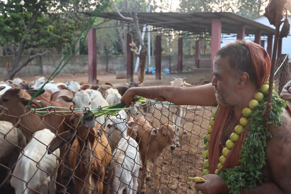 KanchiMatham's tweet photo. 28-02-23 - Enroute to Anakapally camp, Pujyashri Shankaracharya Swamiji visited Bothra goshala at #Jonnada, blessed all those engaged in the service of Gomata and gave anugraha bhashanam. #kamakoti #Goshala https://t.co/PPTukr8uww