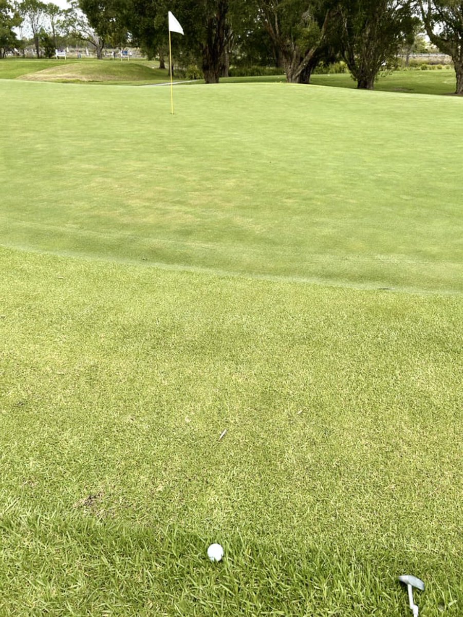 Caddie Network tweet media