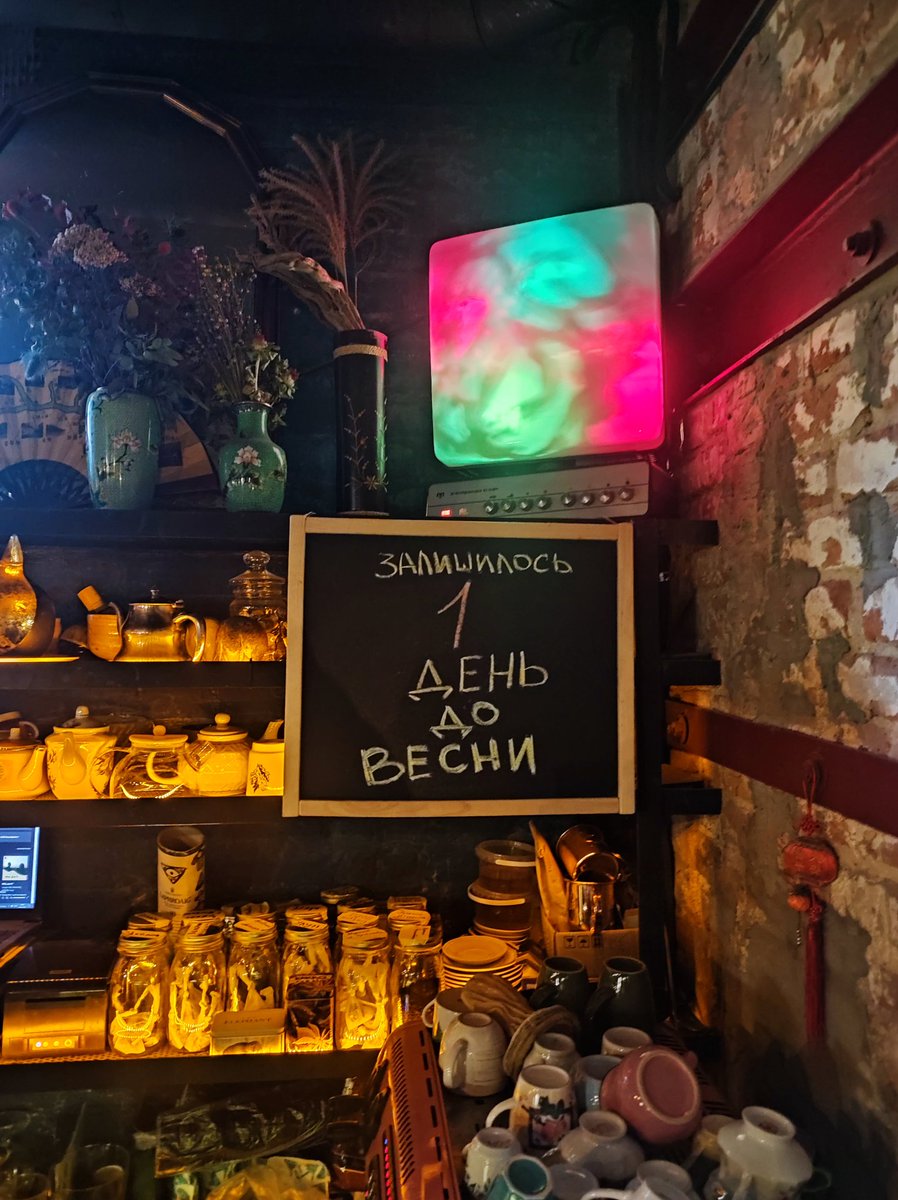 В сусідній кімнаті розспівуються ЩукаРиба, на вулиці орунькають коти. Дотягнули