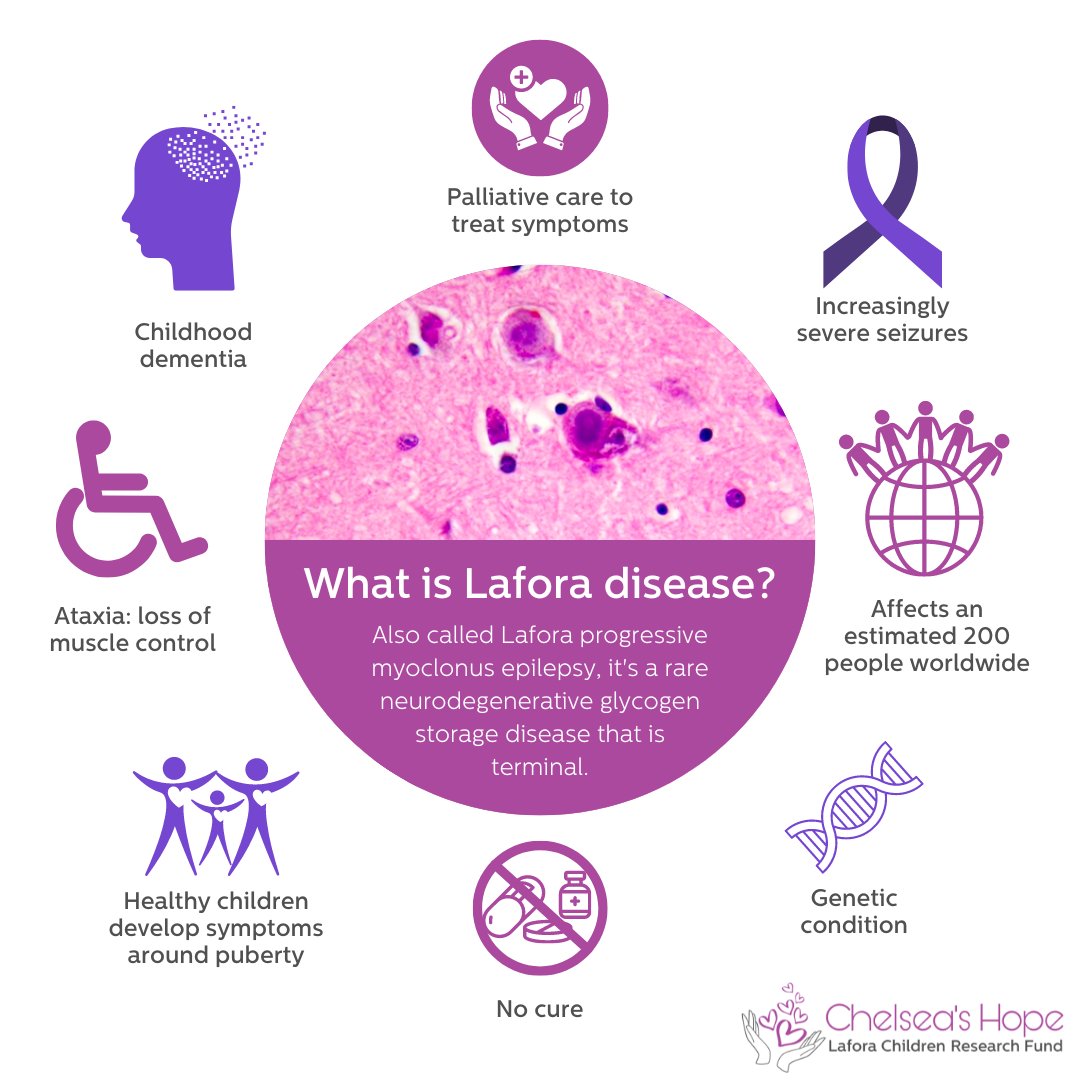 RareRevolutionM's tweet photo. "#LaforaDisease is a neurodegenerative #RareDisease affecting children. Symptoms onset around puberty &amp; include #Epilepsy, #ChildhoodDementia &amp; difficulty talking/walking/eating. It's genetic &amp; currently terminal. But we have #Hope for a cure! 💜#RareDiseaseDay @Chelseashopela1" https://t.co/5d31ZhSI1d
