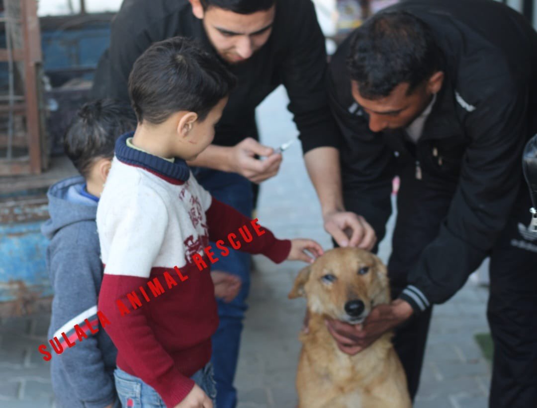 Carol Anne Grayson on Twitter "RT SulalaSociety New Rescue 🛟 case 🐕