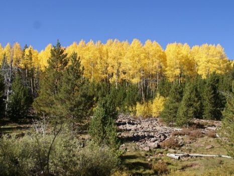 #Russia has long practised softly aggressive ‘financial diplomacy’, on the basis that if you have them by the ‘bills’, then their hearts and minds will follow...to read the full article go to kcsgroup.com/the-magic-blac…
#USA #UK #Cyprus #Dubai #UAE #oligarchs #property #sanctions