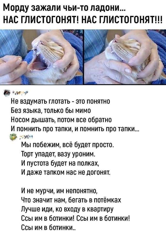 Иногда сетевое творчество переходит все мыслимые границы...
