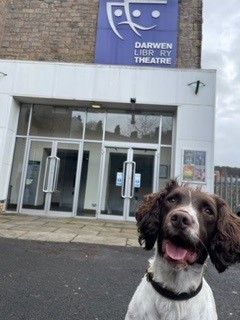 LancsPolDogUnit's tweet photo. TPD Nigel would like to say thanks to the staff @DarwenLTheatre for looking after him and his lead holder whilst he searched their venue today. #trainingforreality #notlongleft https://t.co/tHOMOMqOa5