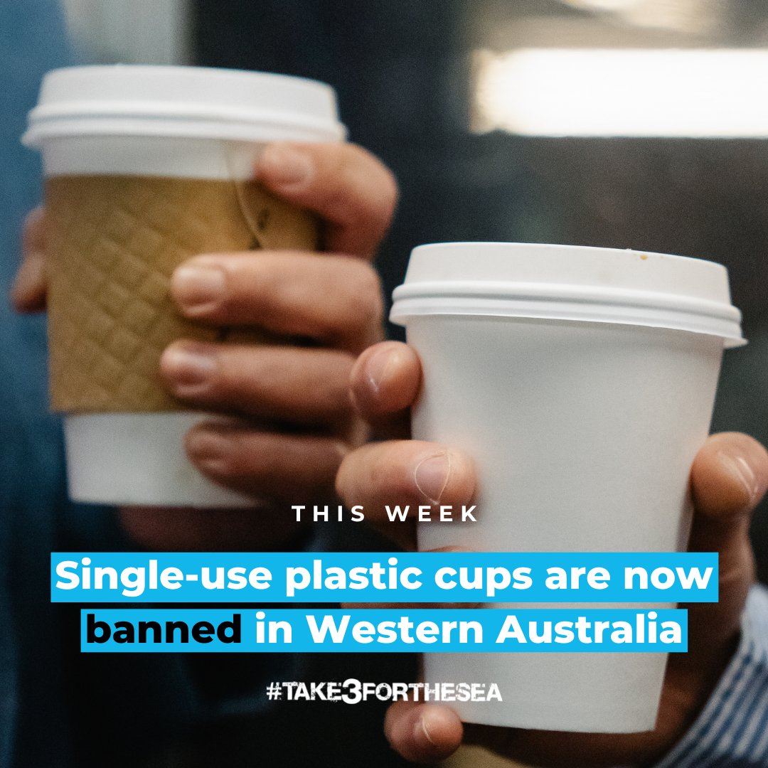 1.84 BILLION disposable plastic coffee cups are used across Australia each year! Let’s hope the other states, and the rest of the world, follow the lead to #UpCup. #Take3forthesea
